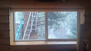 Ein Fenster mit Blick auf eine an einem Baum anliegende Leiter.