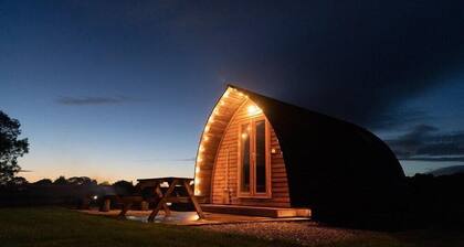 Standard-Kabine-Ensuite mit Dusche