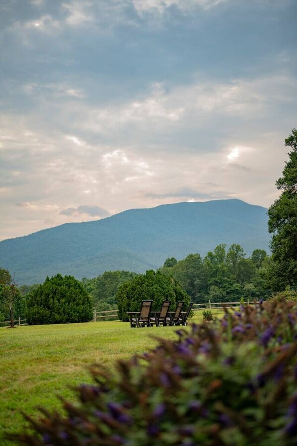 Property grounds - Sunset Pointe - Fire Pit | Walking Trails & Creek! (Roseland)