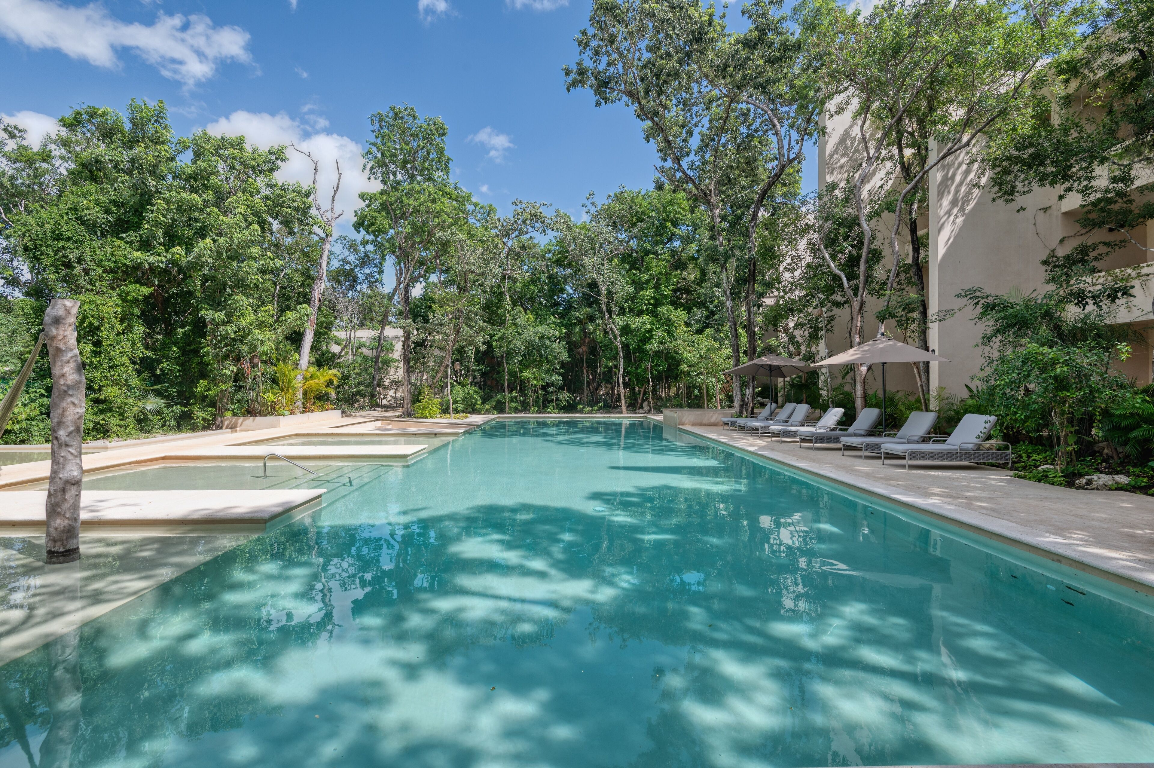 A swimming pool with lounge chairs and trees around it.