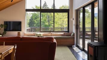 Smart TV, chimenea, libros