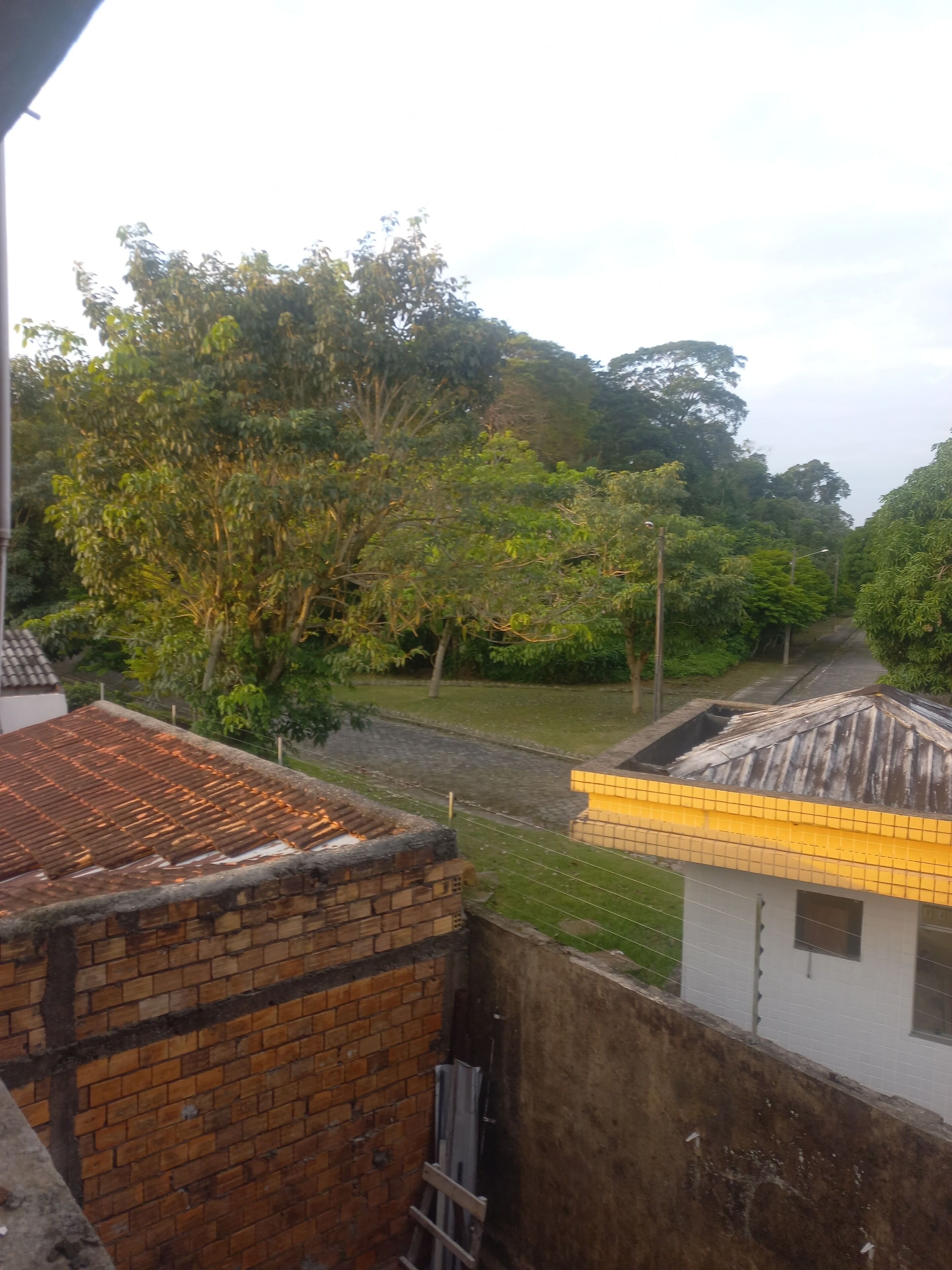 Basic Suite | Free WiFi