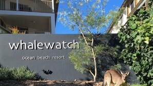 A sign for 'whalewatch ocean beach resort' with a kangaroo in the foreground. - Breathtaking View! (Point Lookout)