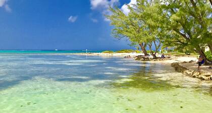 3 Bedroom Oceanfront Villa, Private Pool, Sandy Beach, Near Famous Rum Point.