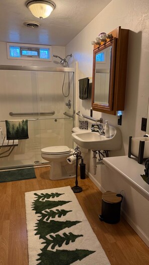 Hair dryer, towels, soap, shampoo