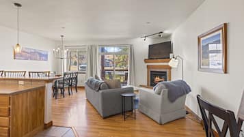 Smart TV, fireplace, books