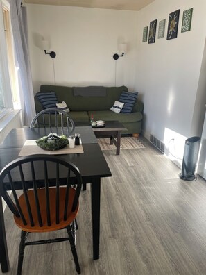 Living area - Great place to crash after a Montana adventure! (East Helena)