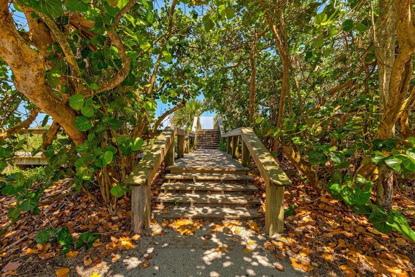 Property grounds - Beautiful Beachside House with Outdoor Patio, BBQ — Short Walk to the Shore! 🏖️ (Cape Canaveral)