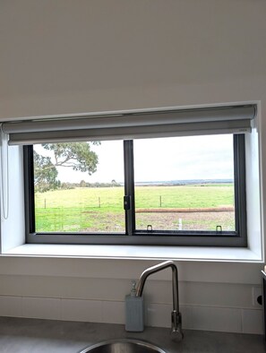 A kitchen with a window, a sink, and a faucet.