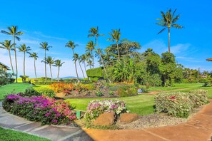Property grounds - SUMMER SALE! Oceanfront 2BD Condo w/ Lanai & Sunset Views in Kihei - WBH A201 (Kihei)
