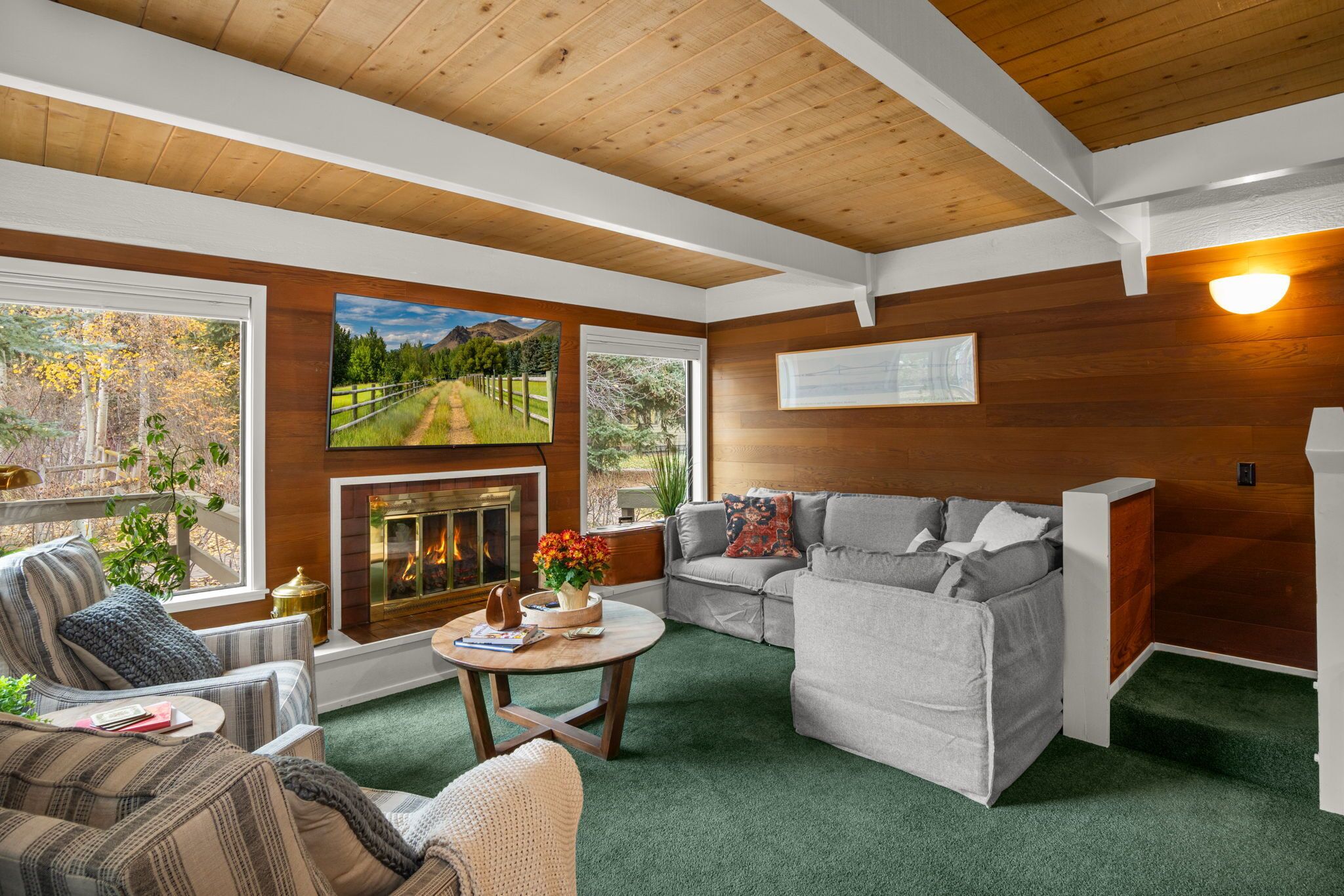 TV connectée, cheminée, livres