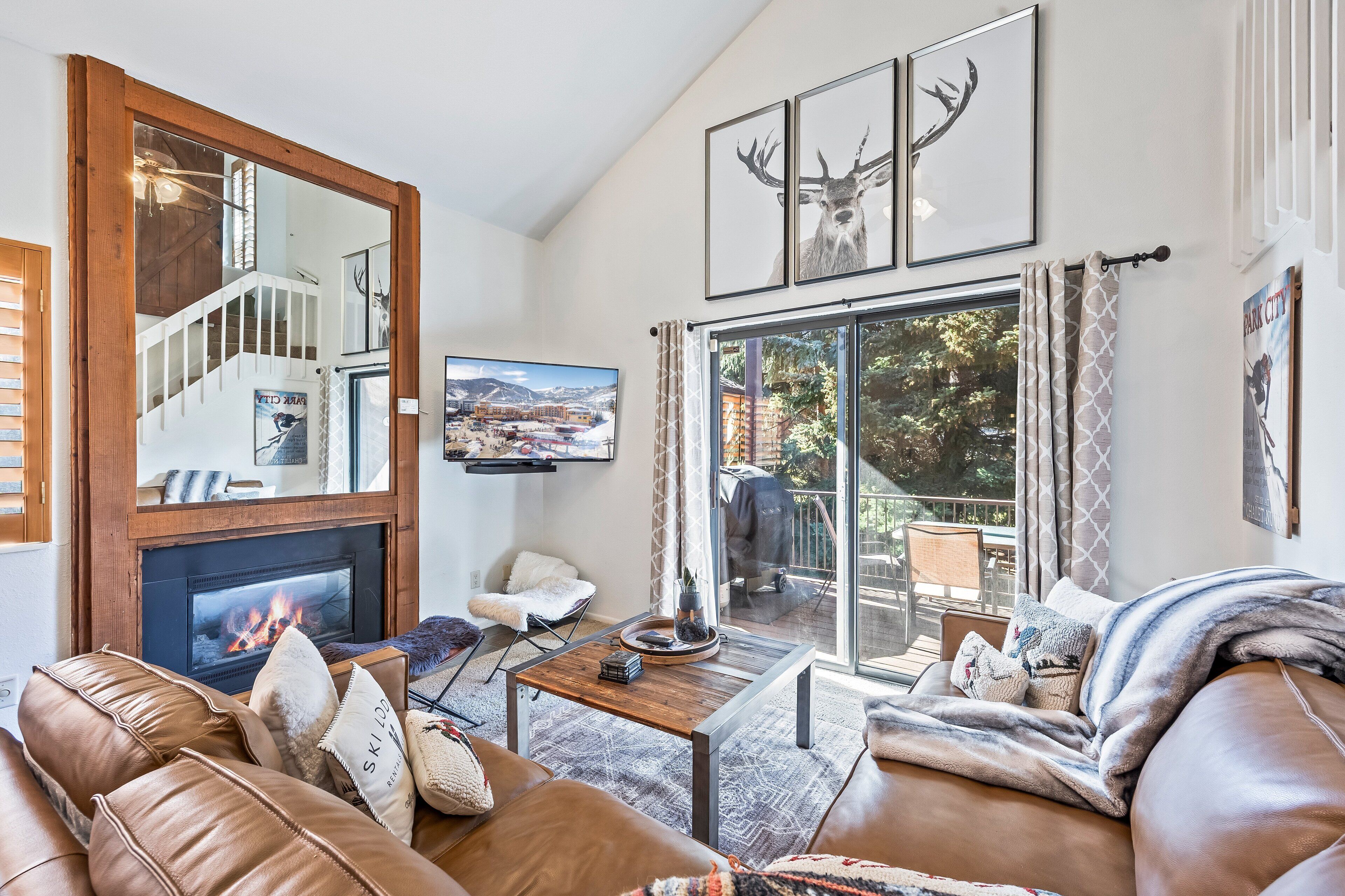 Smart TV, caminetto, monitor per computer