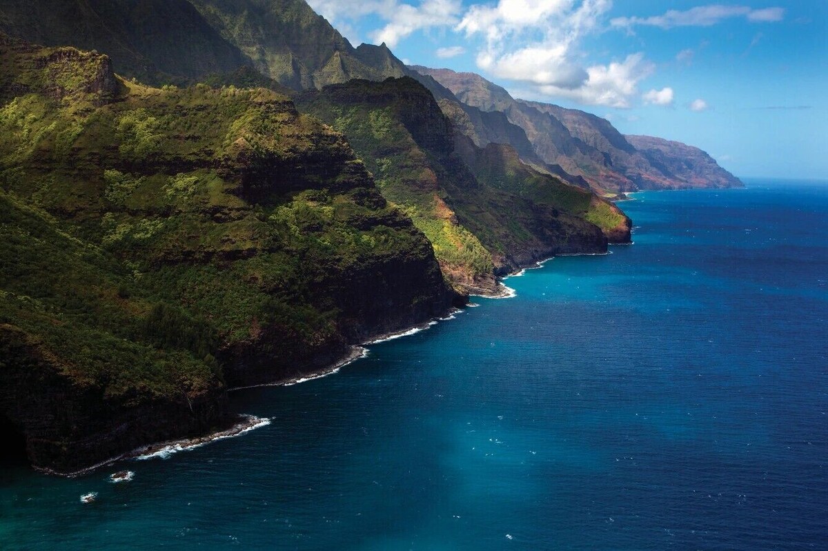 Værtens profilbillede