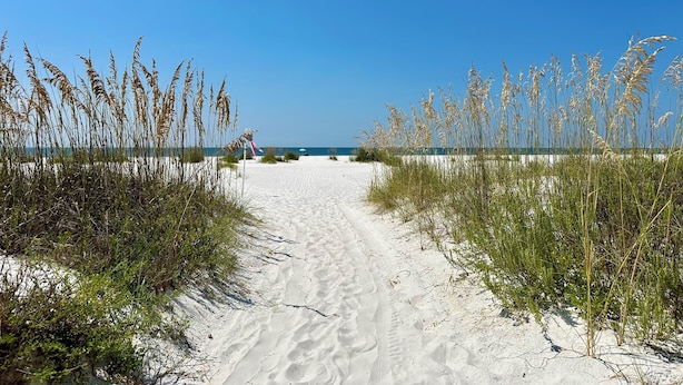 Een zandpad langs het strand, geflankeerd door hoge grassen, dat naar de oceaan leidt.