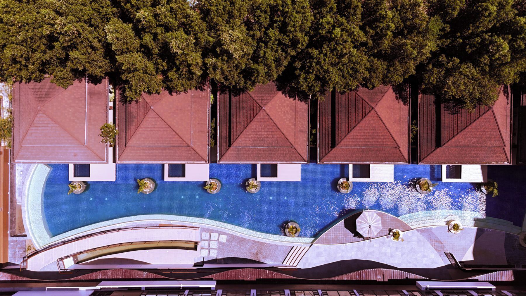 A rooftop pool with a blue mosaic floor, surrounded by red-roofed structures and trees.