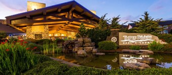 Chateau Serenity Beach House Dog's Welcome