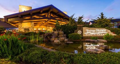 Chateau Serenity Beach House Dog's Welcome