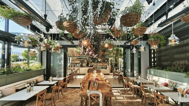 Een restaurantruimte met meerdere eettafels en stoelen, hangplanten en uitzicht op het buiten.