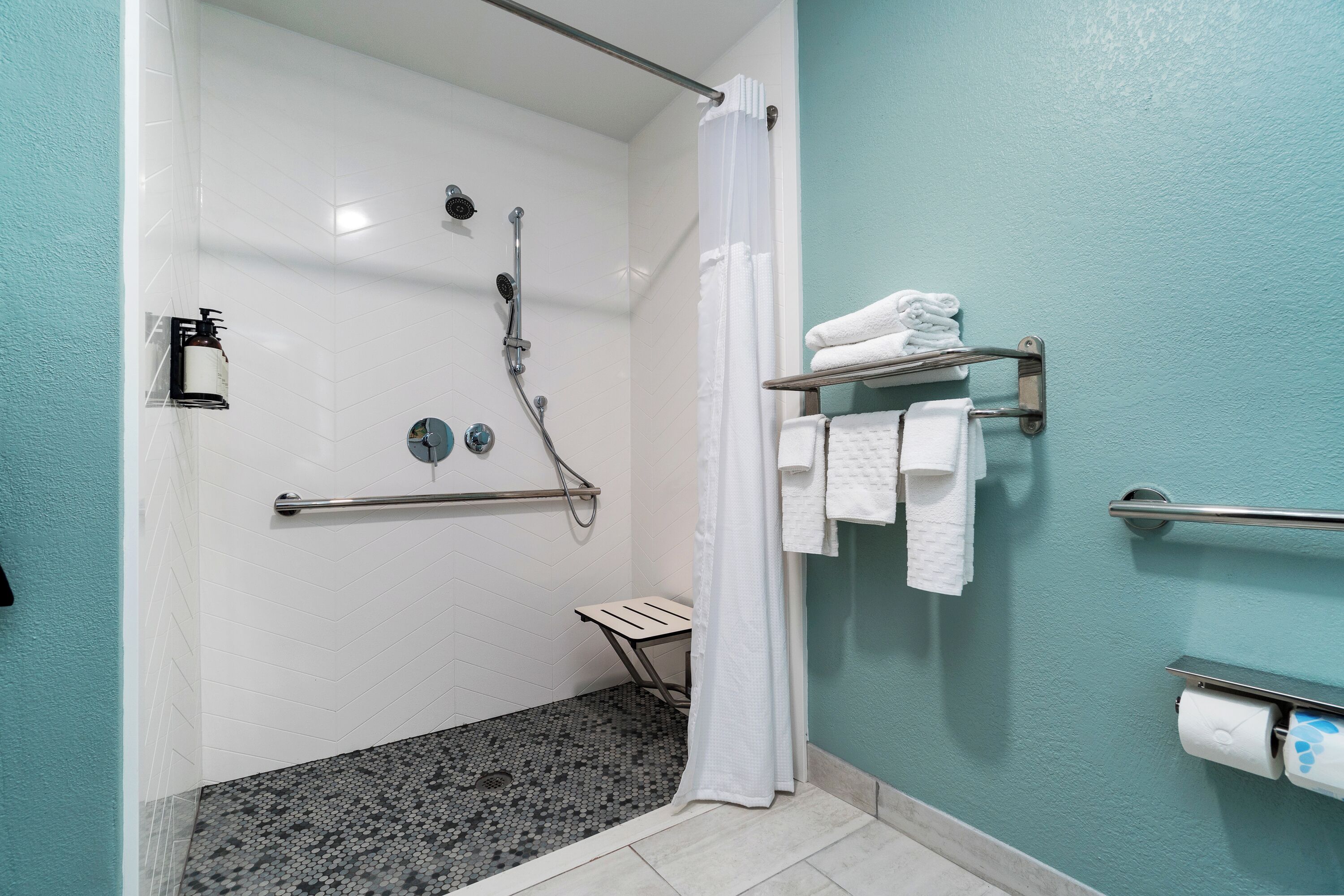 Un baño con ducha, barra de apoyo, toallero y dispensador de papel higiénico.