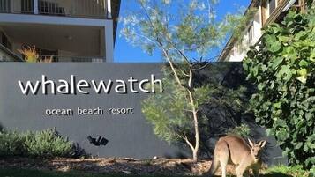 DĂ©tail de lâextĂ©rieur