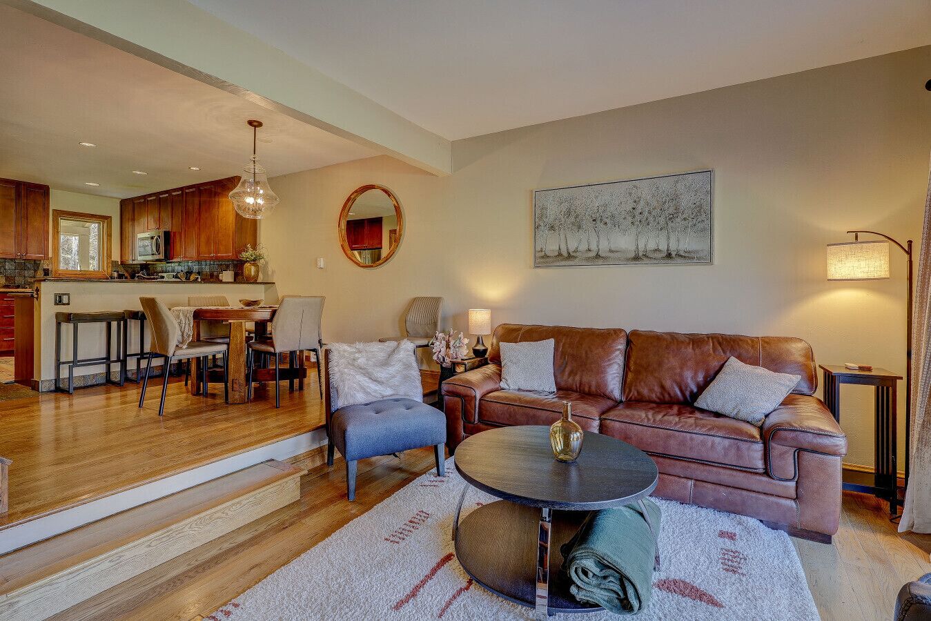 TV, fireplace, DVD player, books