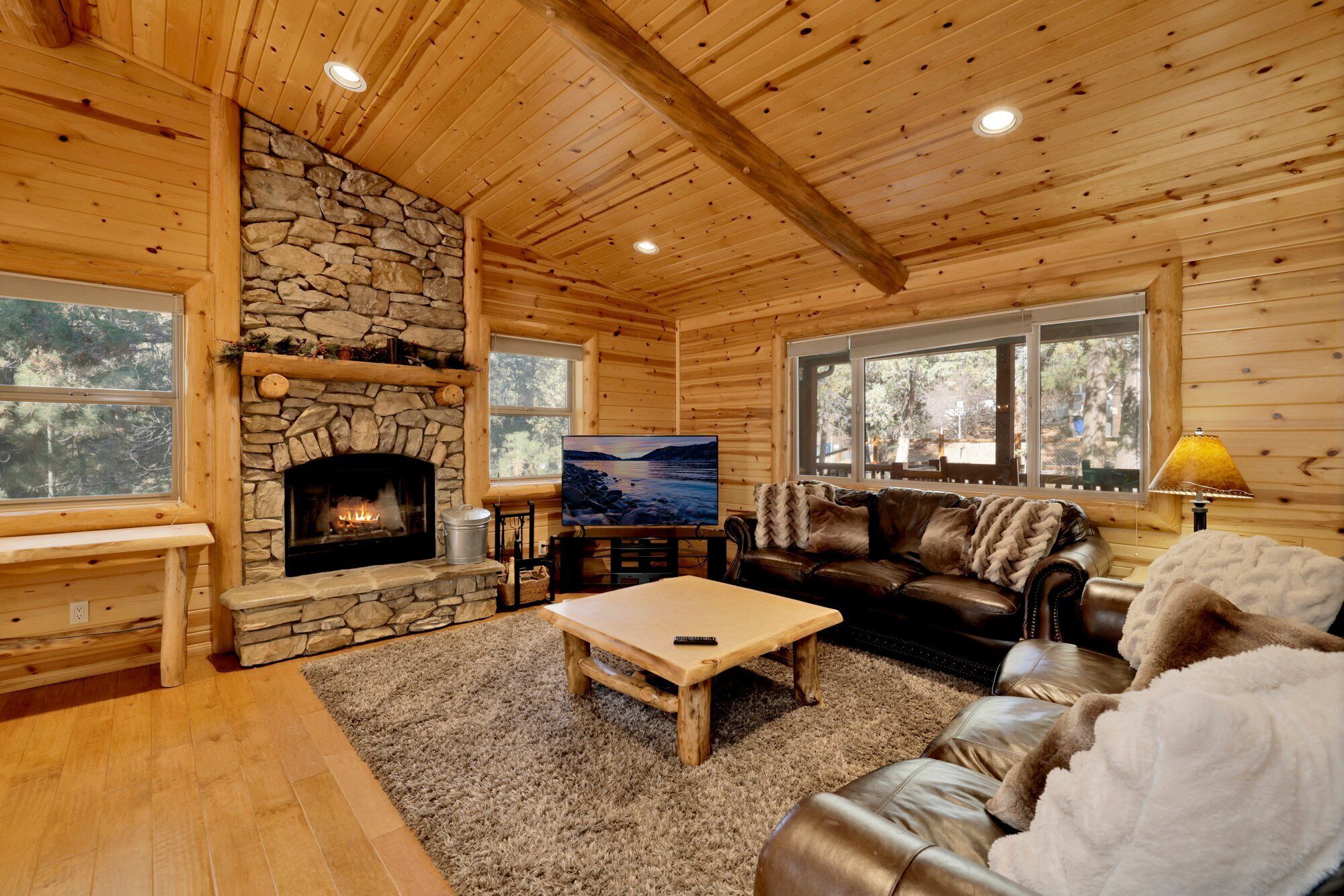 Smart TV, fireplace, video games, table football