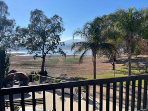 Property grounds - Lakefront Palms - Lakefront living, pet friendly home (Mansfield)