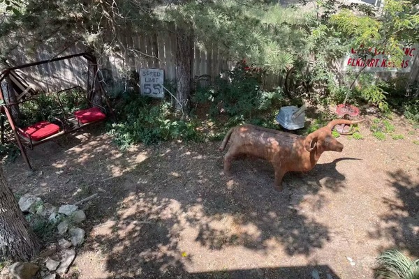 Parco della struttura