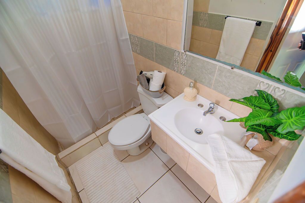 Hårtork, handdukar, tvål och schampo