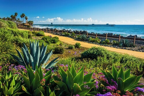 Family Paradise! Ocean Views, Pool, Trampoline & Walk to Downtown