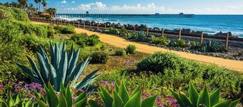 Family Paradise! Ocean Views, Pool, Trampoline & Walk to Downtown