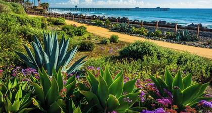 Family Paradise! Ocean Views, Pool, Trampoline & Walk to Downtown