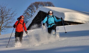 Snow and ski sports - Holiday Home in Alps Near Espace Diamant (Notre-Dame-de-Bellecombe)