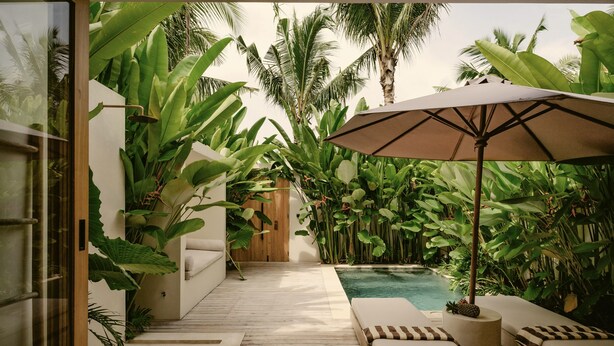 Un espace aménagé au bord de la piscine, avec une terrasse en bois, des chaises longues, un grand parasol et une végétation tropicale luxuriante.