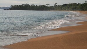 A beach with clear blue water, sandy shore, and a line of trees in the background. - La Pina Casita at Bluff Beach Retreat (Isla Colon)