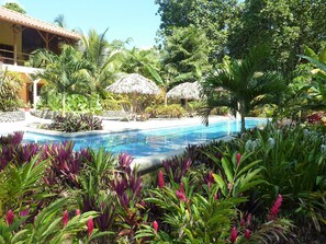 A swimming pool surrounded by tropical plants and a thatched-roof structure. - La Pina Casita at Bluff Beach Retreat (Isla Colon)