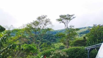 Deluxe-Bungalow, Terrasse, Gartenblick | Ausblick vom Zimmer