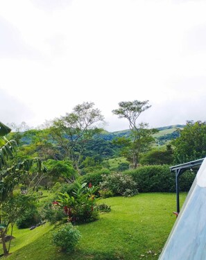 Deluxe-Bungalow, Terrasse, Gartenblick | Ausblick vom Zimmer