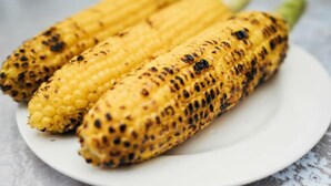 Three grilled corn cobs on a white plate. - Pension Mori no Symphony (Shinano)