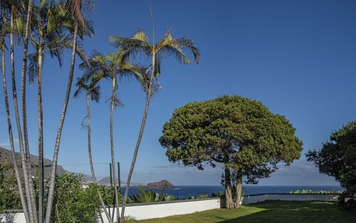 Sabinas & Terrazas Malpaís