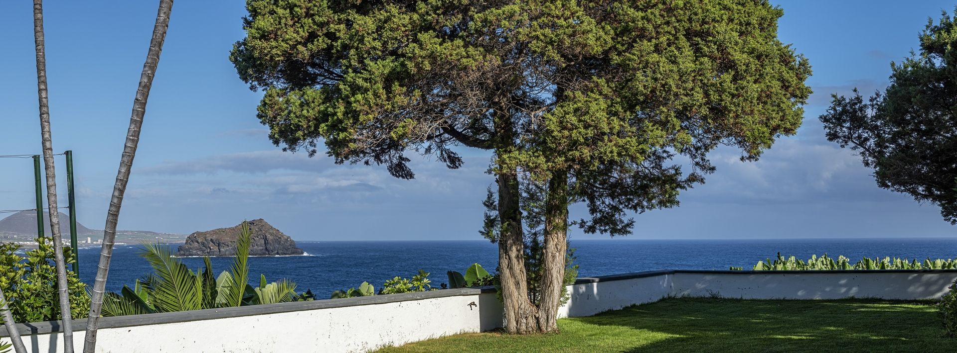 Vista costera con un árbol grande, una pared blanca y el océano, con una isla distante.