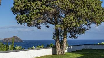 Vista costera con un árbol grande, una pared blanca y el océano, con una isla distante.