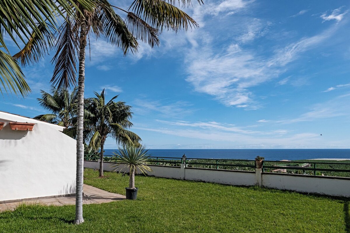 A grassy area with palm trees, a white building, and a view of the ocean.