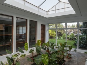 A sunroom with large windows, potted plants, and a view of a garden. - Sabinas & Terrazas Malpaís (Icod de los Vinos)