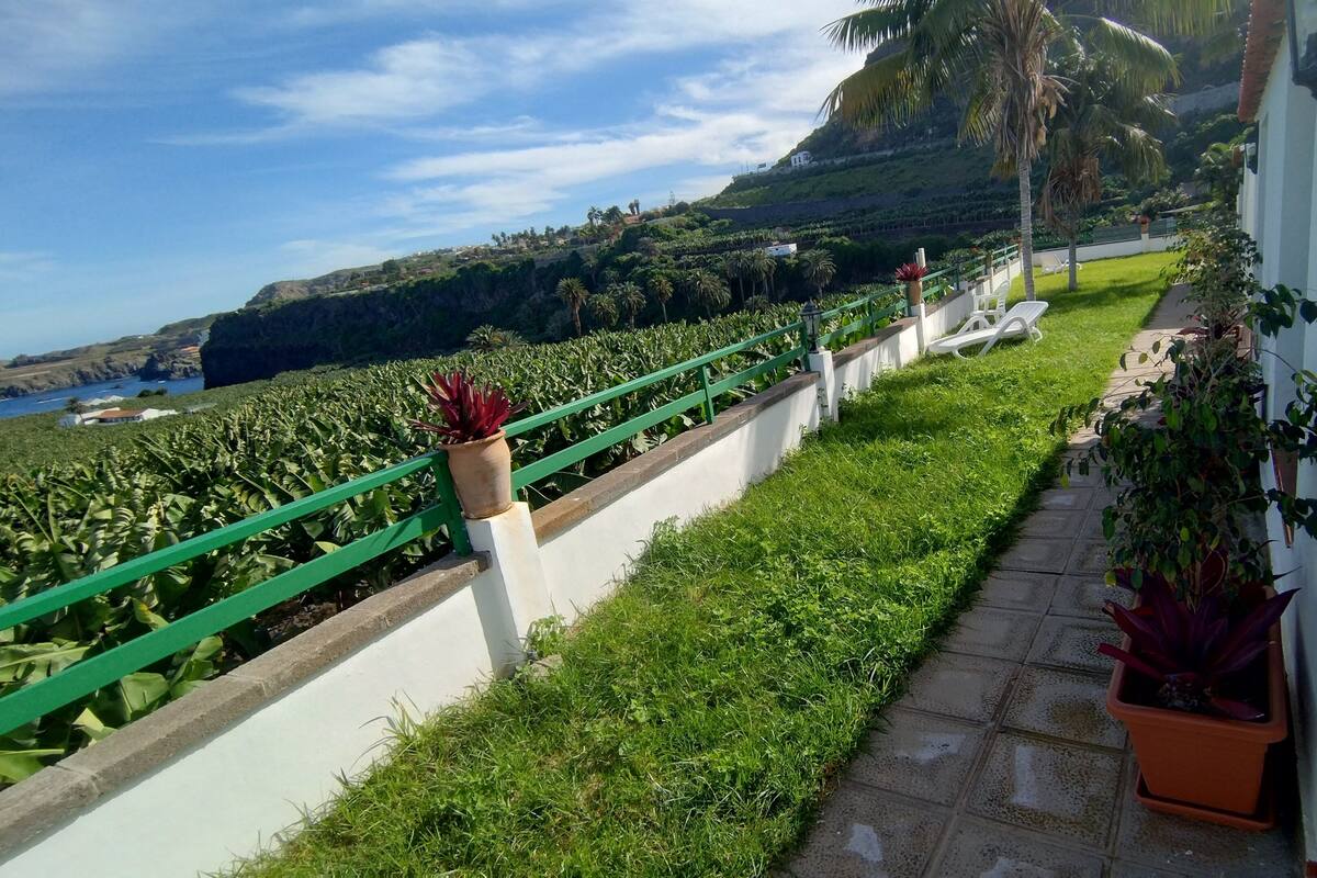 A pathway with a green railing, potted plants, and a view of a coastal landscape.
