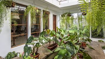 A conservatory with hanging ferns, potted plants, and a stone floor.