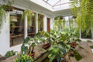 A conservatory with hanging ferns, potted plants, and a stone floor. - Sabinas & Terrazas Malpaís (Icod de los Vinos)