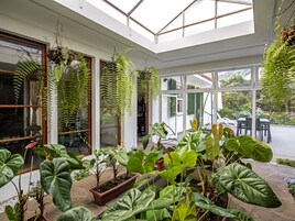 Una habitación soleada con ventanas amplias, plantas colgantes y una variedad de macetas en el suelo.