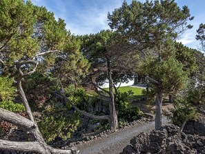 A pathway surrounded by trees and a building in the background. - Sabinas & Terrazas Malpaís (Icod de los Vinos)