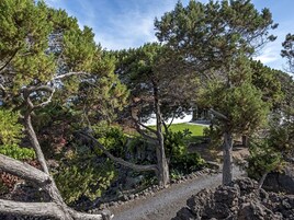 Un sendero bordeado de árboles con un edificio al fondo.
